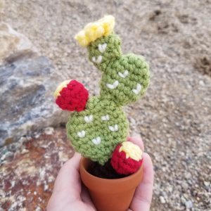 Prickly Pear Cactus