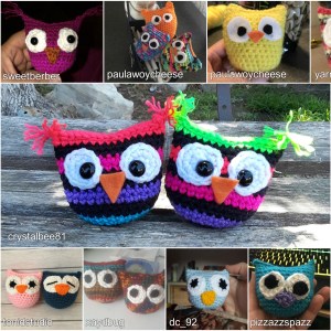 Beginner Owl CAL